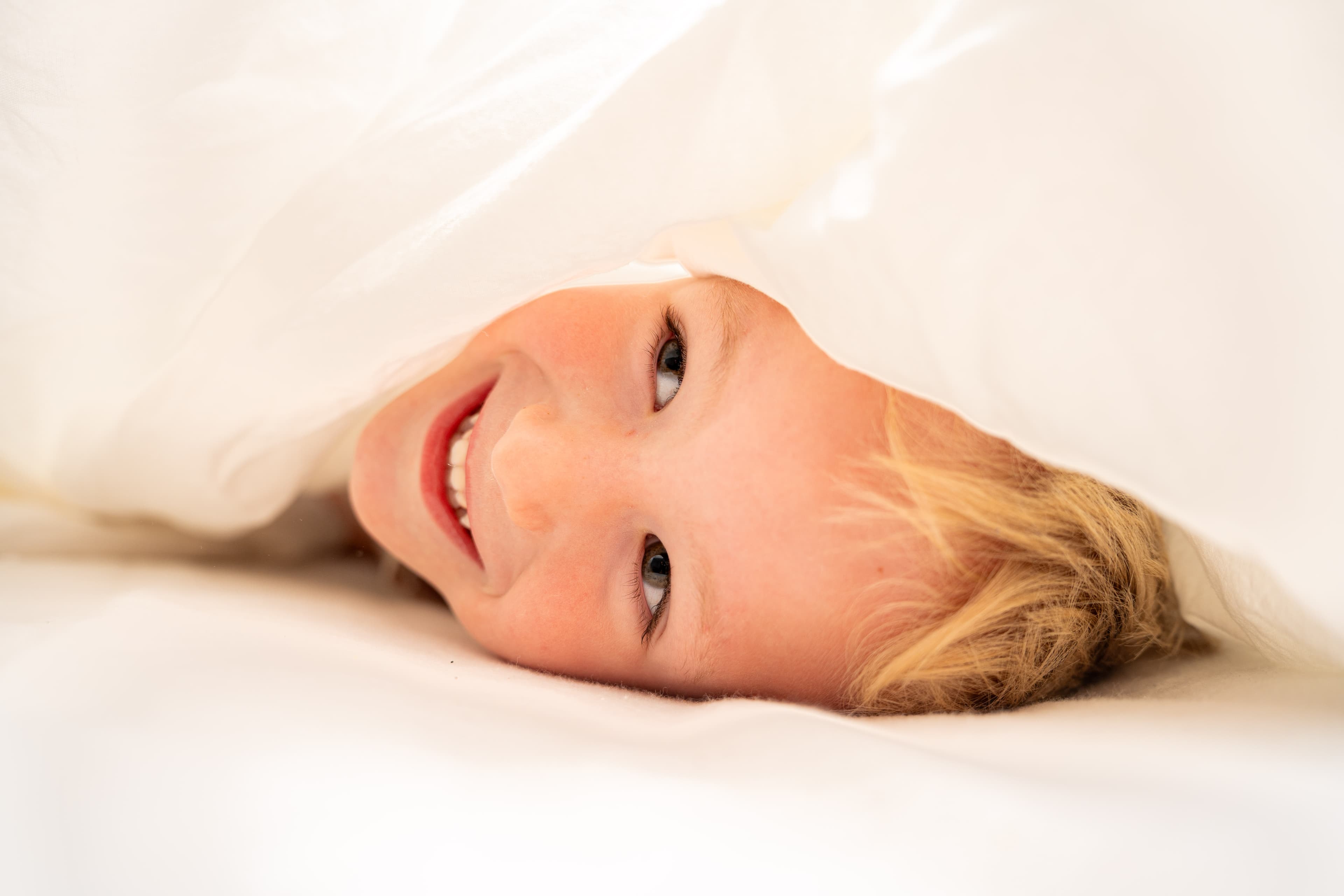 Lio – foto 4